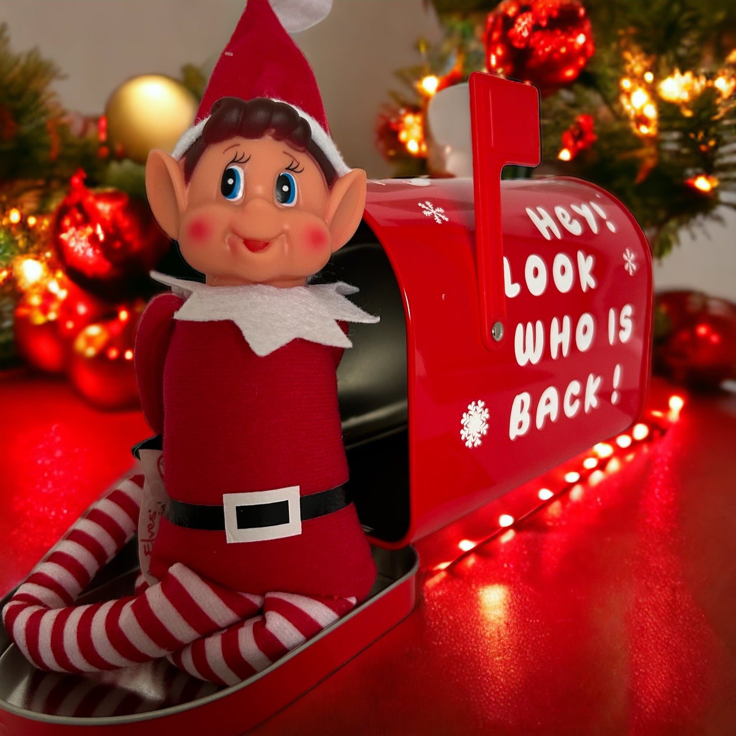 Santa’s Mail Box